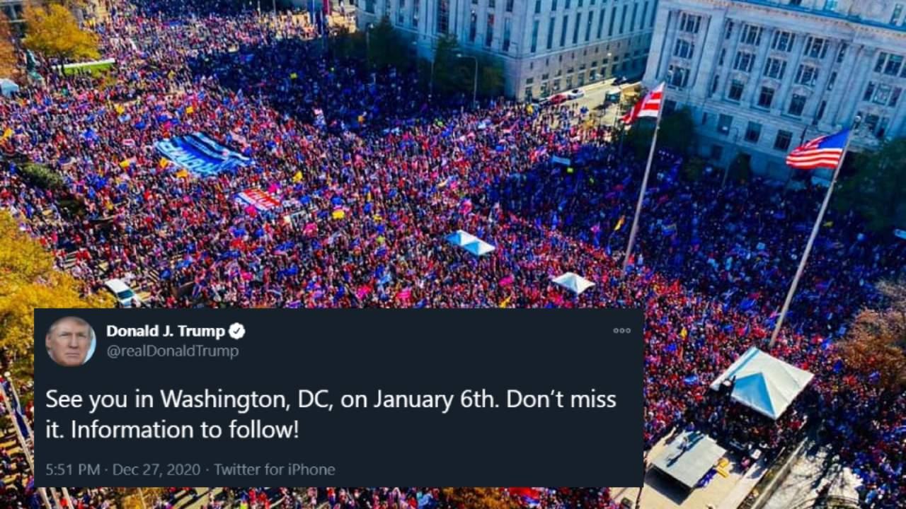 A large group of Trump Supporters participated in the Stop the Steal rally in Washington D.C. November 14, 2020. (Photo: Brooks Meriwether)